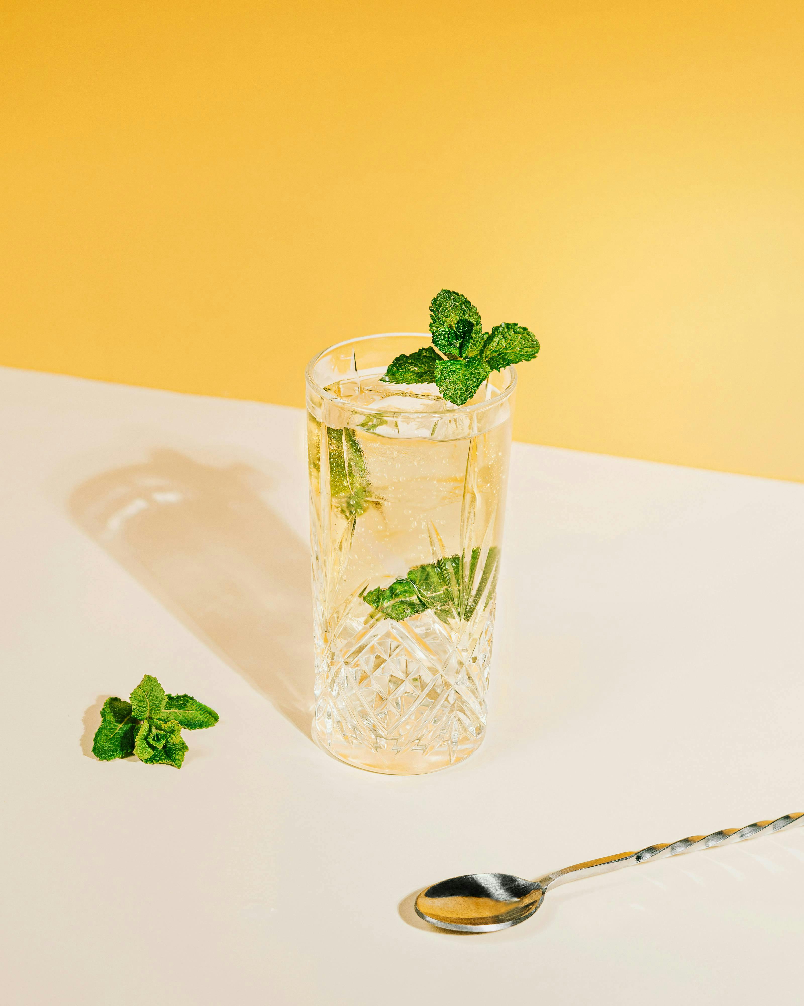 herbs plant mint alcohol beverage cocktail mojito cutlery spoon soda